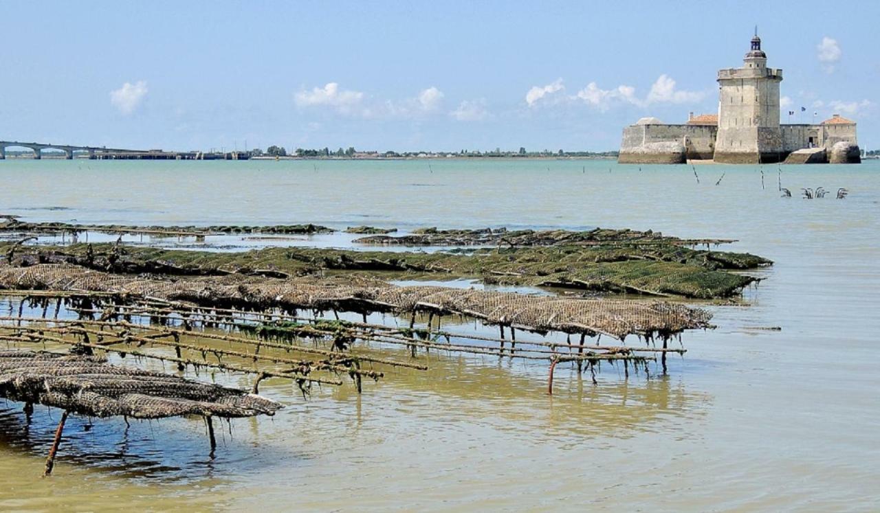 Gite Du Timbre Clion  Exterior foto